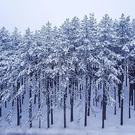 Zeba Lejlighed Zlatibor