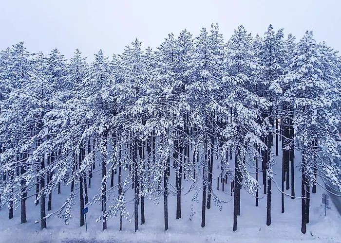 Zeba 公寓 兹拉蒂博尔